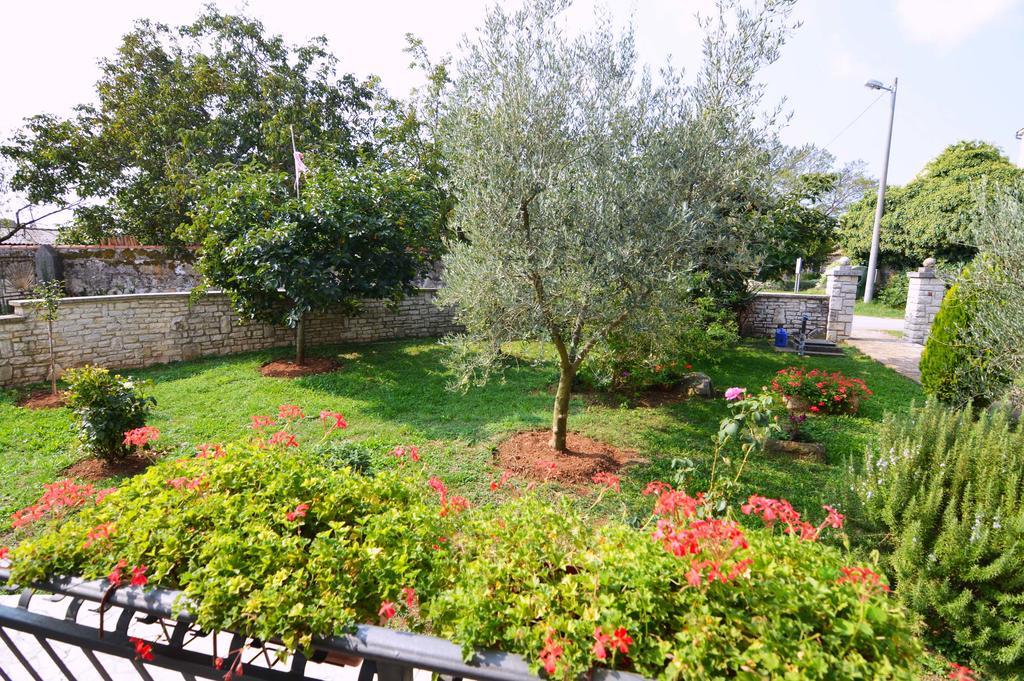 Garden Apartment Maria Vrsar Extérieur photo
